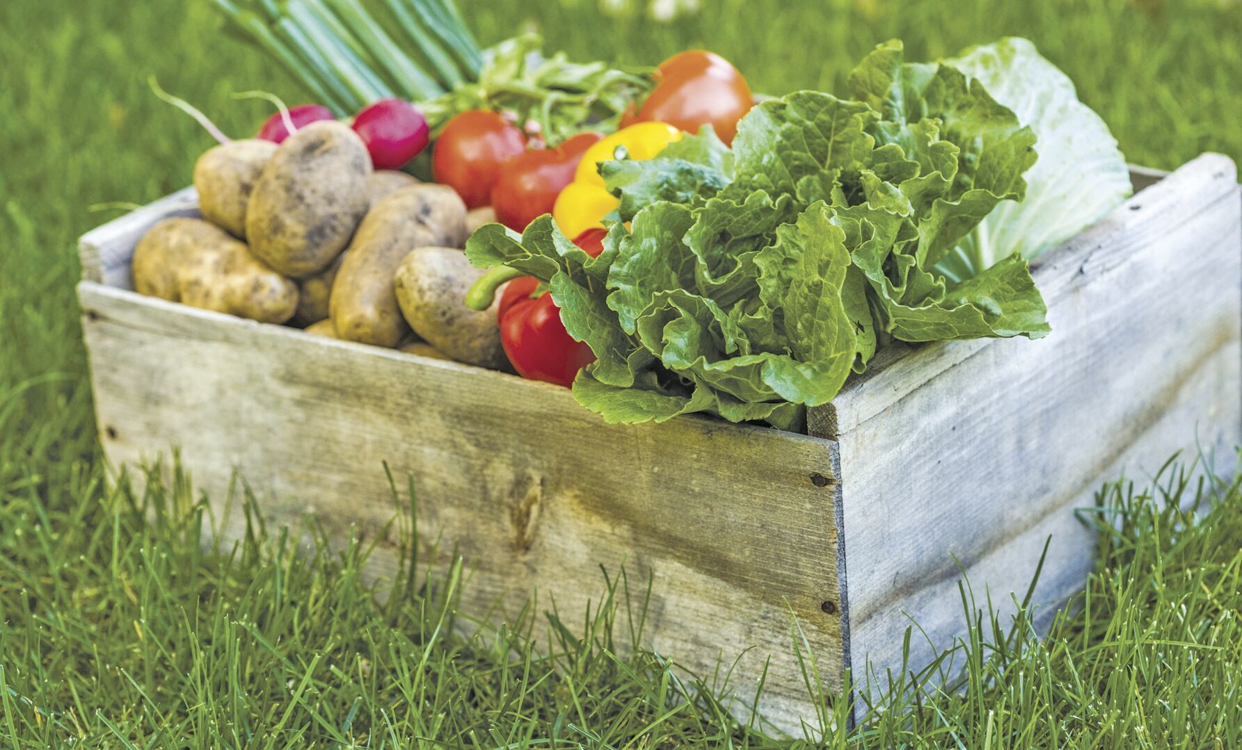 Produce.TIF